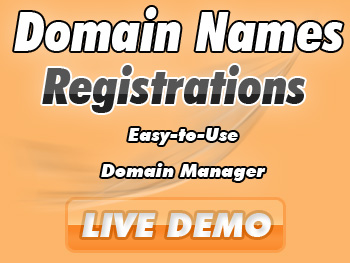 Budget domain name registration service providers